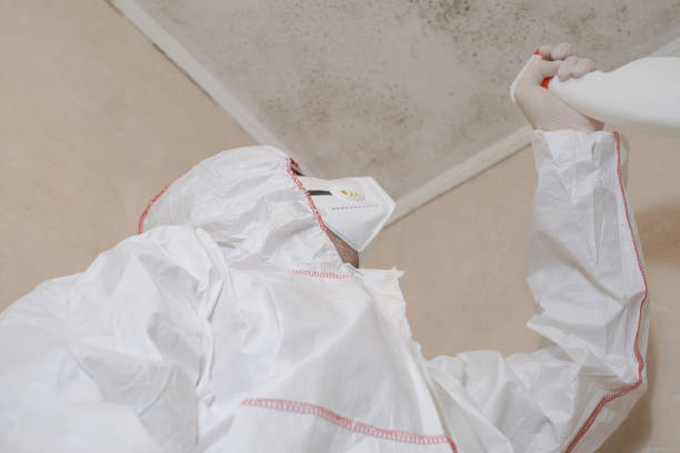 Professional Mold Remediation in Jonestown, PA